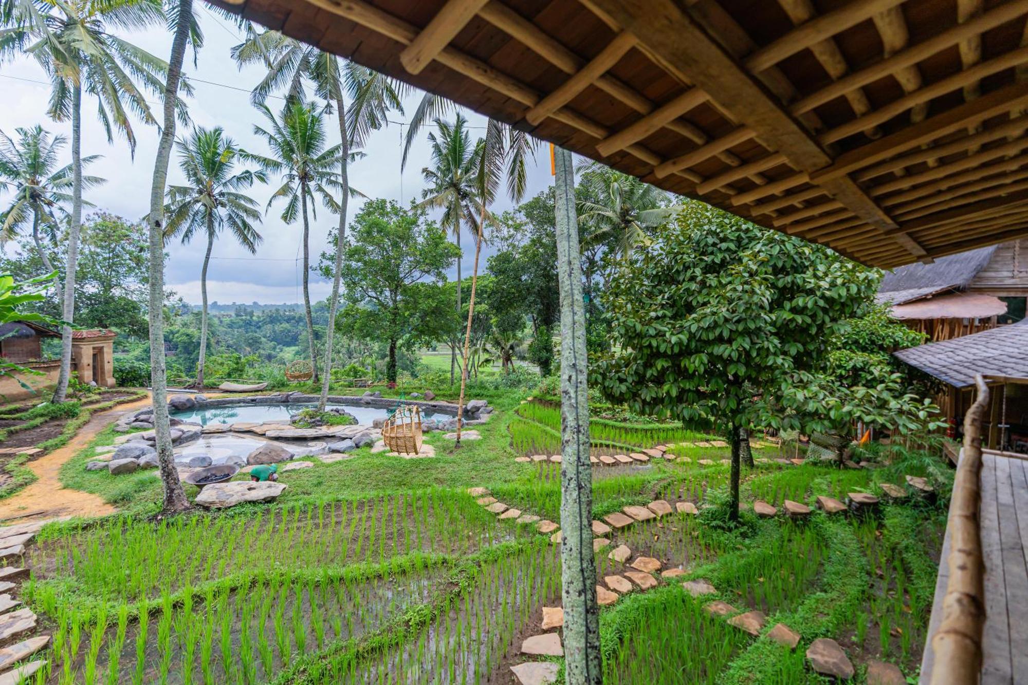 Bambu Indah Resort Ubud Zewnętrze zdjęcie
