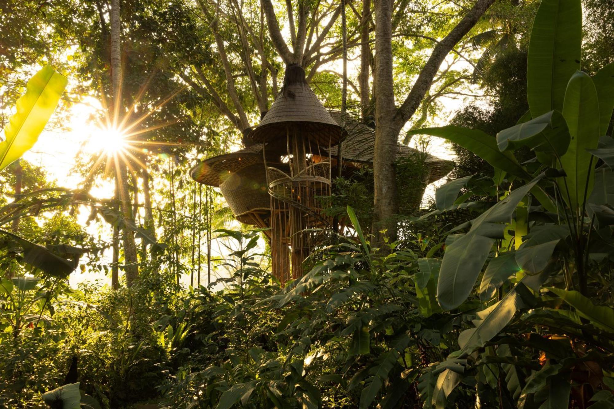 Bambu Indah Resort Ubud Zewnętrze zdjęcie